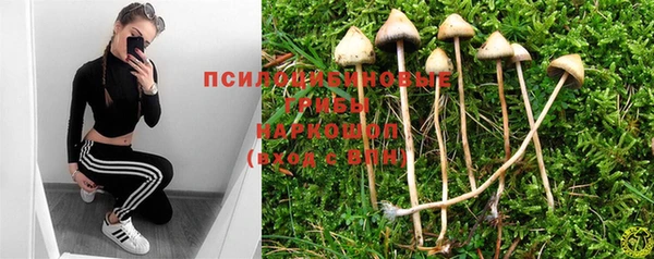 сатива Богданович