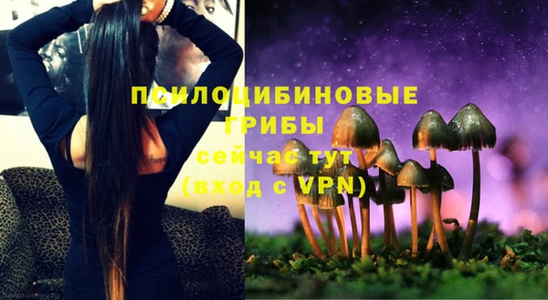 МДПВ Богородицк