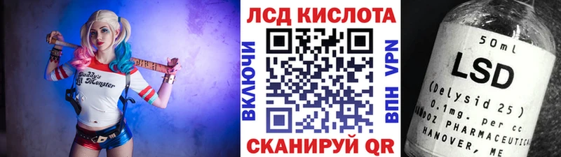 где купить   Елизово  дарк нет Telegram  Марки NBOMe 1,8мг  hydra ONION 