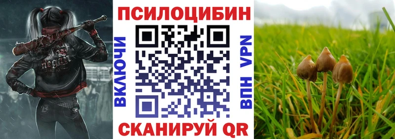 Галлюциногенные грибы ЛСД  купить  сайты  Елизово 